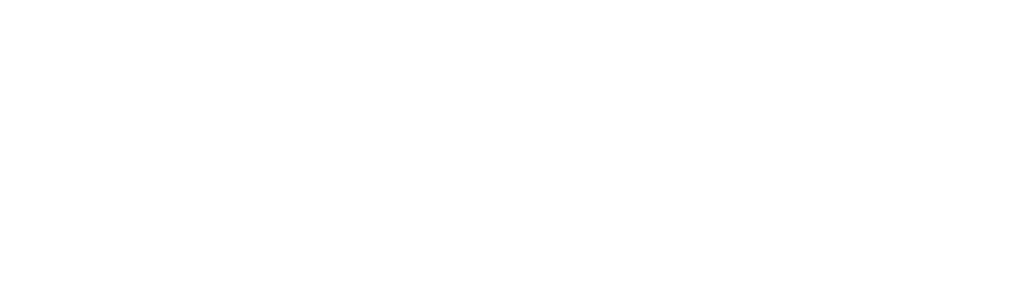Wordmark — white transparent